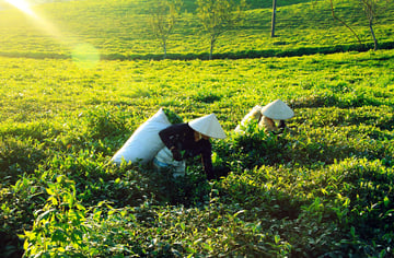 AdobeStock_96479901-scaled-1