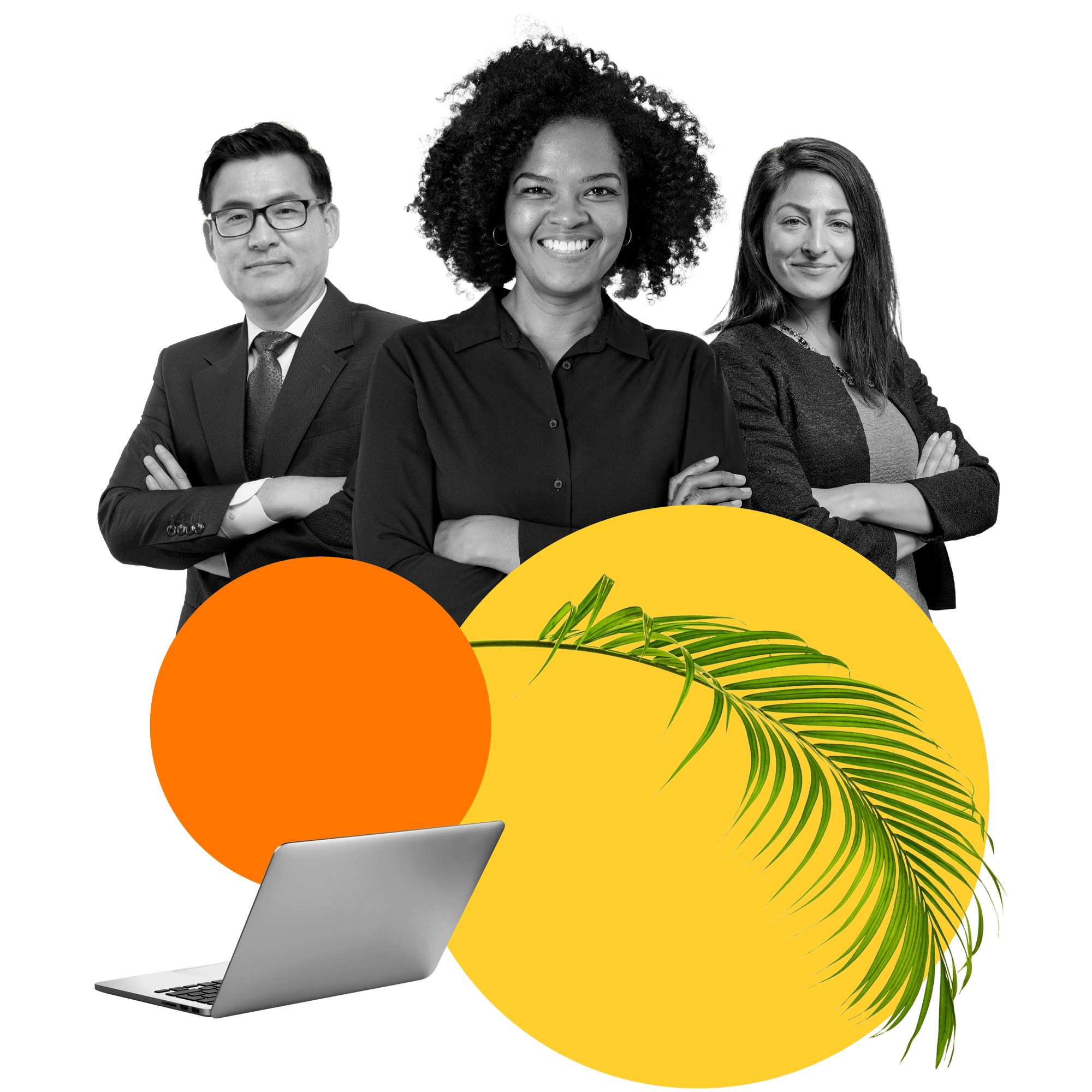 Sedex Community Asset - Collage 4