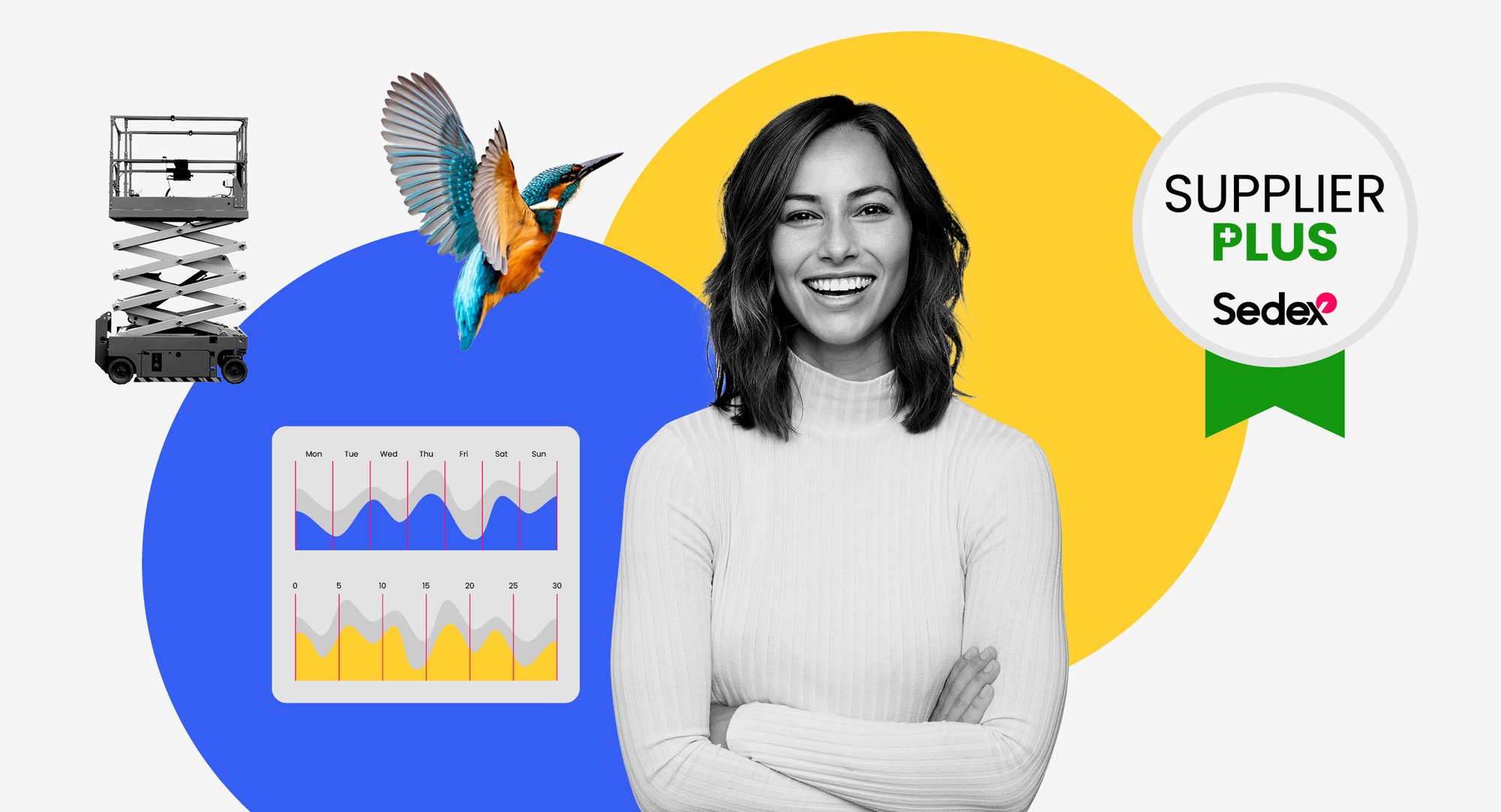 Sedex HubSpot Header - Supplier Plus 3