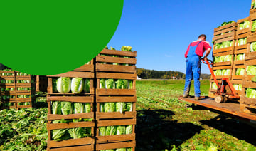 Sedex-Blog-Sustainability-and-Environment-in-Retail-Supply-Chain