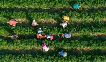 The-importance-of-responsible-sourcing-feature-image